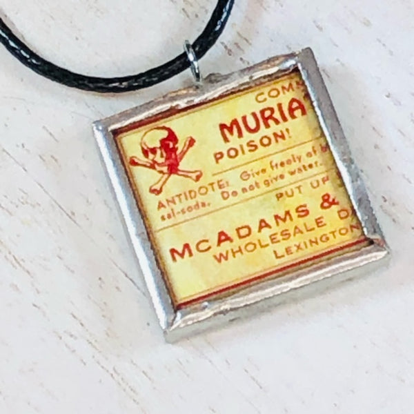 Handmade Reversible Glass and Silver Soldered Charm Pendant Necklace - 1"x 1" - Poison Label