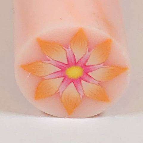 Raw Polymer Clay Cane - Orange and Pink Flowers - Translucent Background